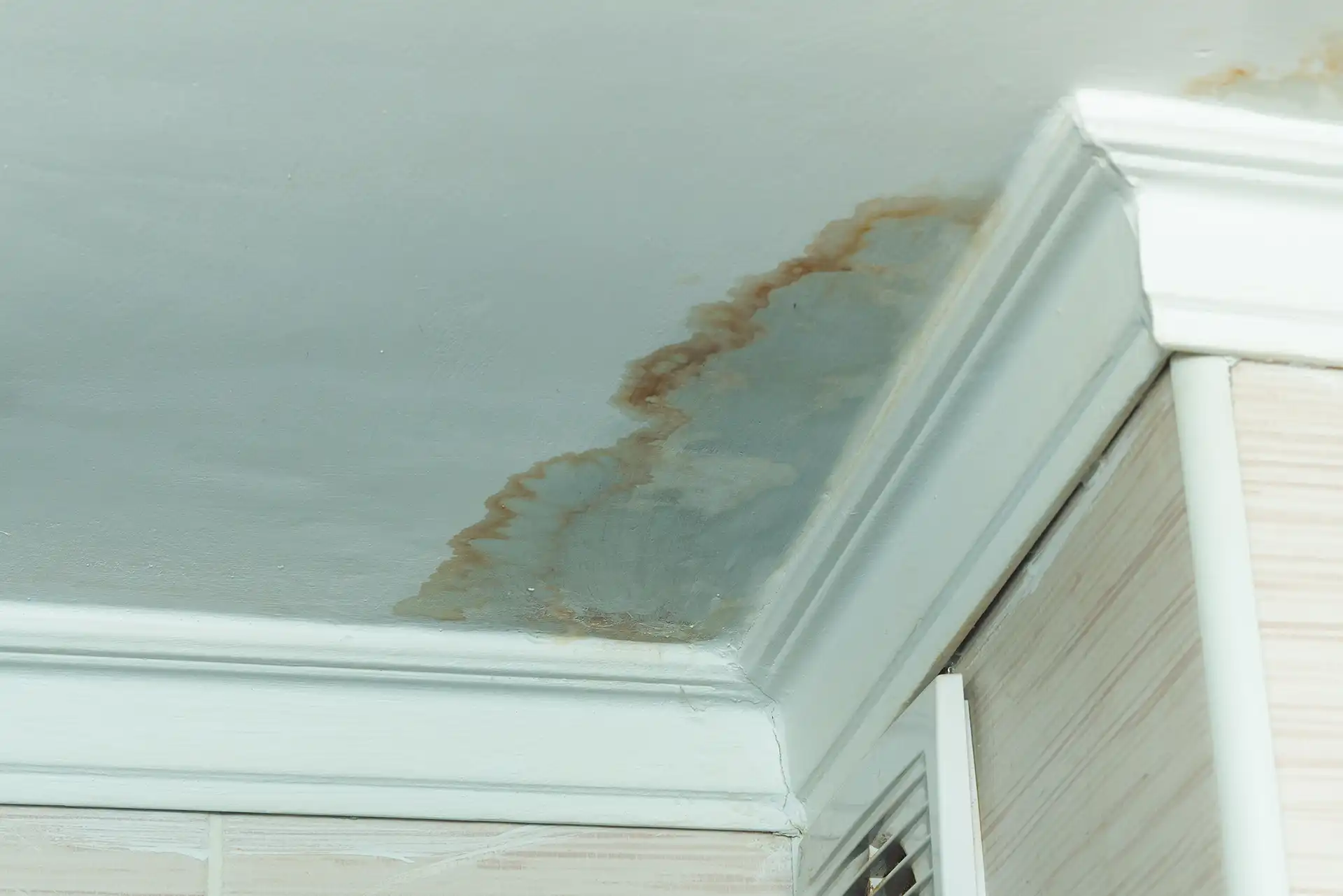 leak detection in ceiling