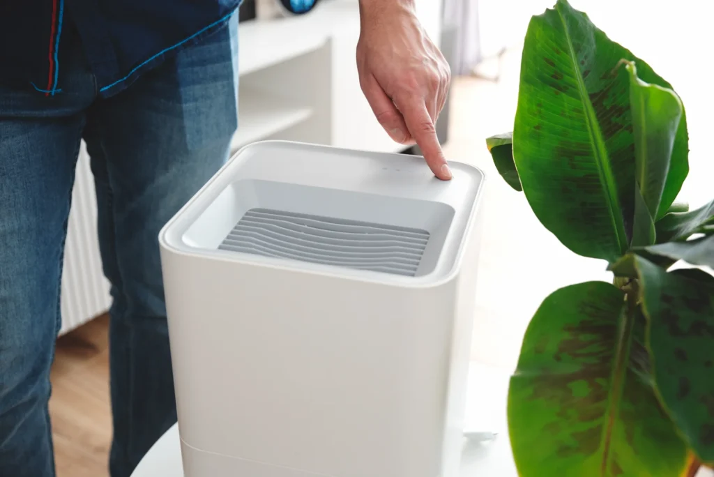 Hand pointing to the top vents of a white air purifier next to a leafy houseplant in a bright room.